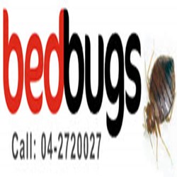 Dubai Pest Control Services