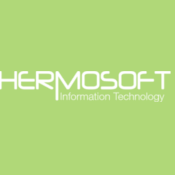 Hermosoft Information Technology