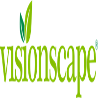 Visionscape