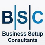 Business Setup Consultants