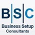 Business Setup Consultants