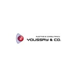 Youssry & Co. Auditing & Consultancy