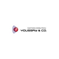 Youssry & Co. Auditing & Consultancy