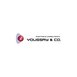 Youssry & Co. Auditing & Consultancy